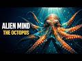 Octopus Intelligence &amp; Survival in the Ocean