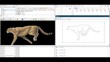 Animación de imágenes con Splines