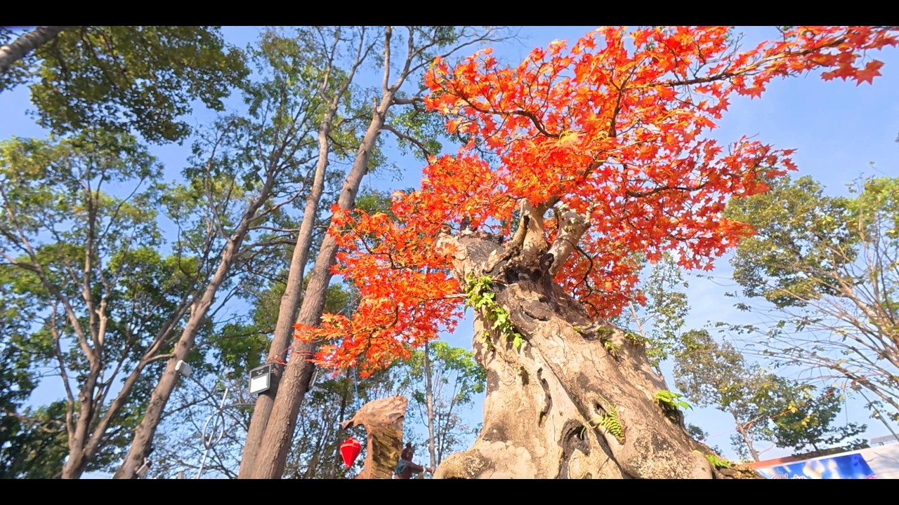 Chua Hoang Phat - Mung 1 tet - boboke