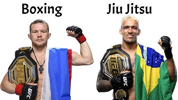 The Best Representatives For Individual Martial Arts In MMA. Karate, Boxing, Judo, Wrestling & More!