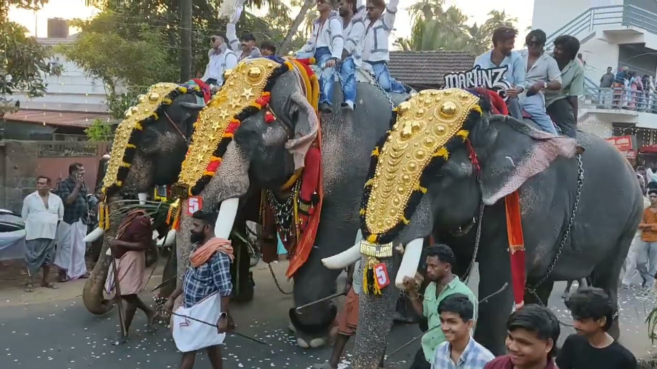 Vk kadavu nercha 2025 വി കെ കടവ് നേർച്ച