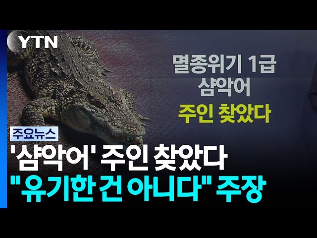'샴악어' 주인 찾았다...멸종위기종 밀반입 적발 급증 [앵커리포트] / YTN