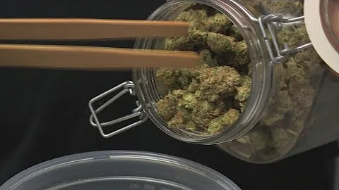 Michigan dispensary owner worries over new 24% cannabis tax