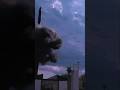 ⚡МО: ПУСКИ МЕЖКОНТИНЕНТ РАКЕТ ВТОРОМ УЧЕ ЯДЕР СИЛ 21.05.26 #новости #путин #россия #новостисегодня