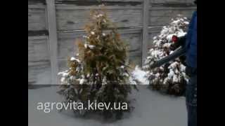 Видео о товаре