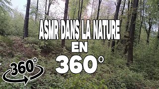 ASMR DANS LA FORET EN 360° (REALITE VIRTUELLE)🌳