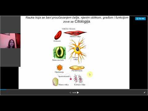 Video: Koje se organele nalaze u biljnim ćelijama?