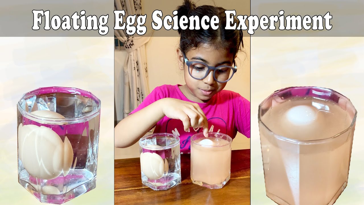 Floating Egg Science Experiment by Tora | The Egg and Salt Experiment