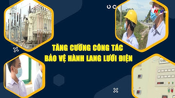 Tăng cường công tác bảo vệ hành lang lưới điện
