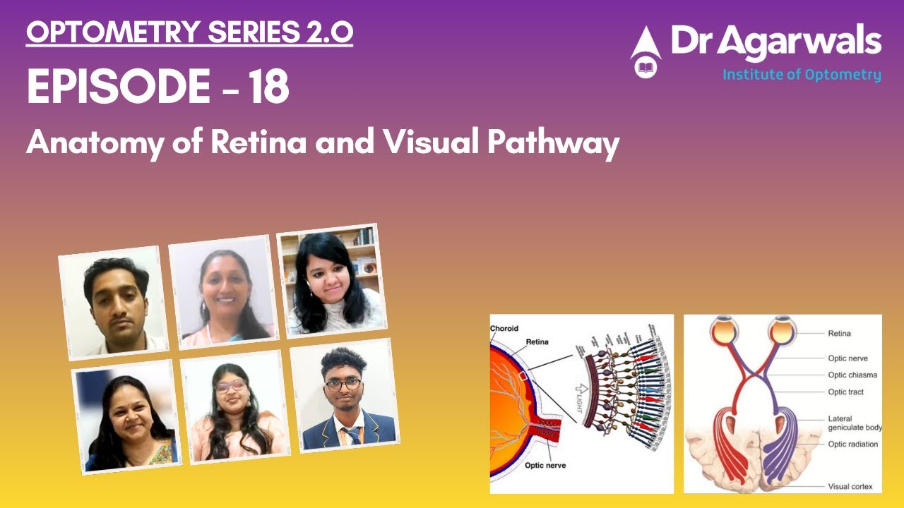 Optometry Series 2.0 Episode - 18 Anatomy of Retina and Visual Pathway
