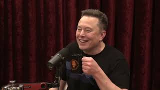 Joe Rogan on Musk's Social Media Grenades: A Chain Reaction