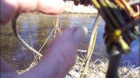 Nancy Today: pt 3 Making a willow ribbed basket ASMR weaving basketmaking (basket making tutorial)