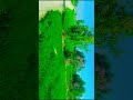 capcut video editing full course#movieshorts #moviescenes #songstatus #videoediting #