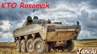 Kołowy Transporter Opancerzony - KTO Rosomak i jego wersje - Wojsko Polskie