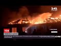 Новини України: блискавка підпалила школу в Рівненській області