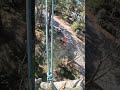 ☘️🙌  #arboleros #treework #treeremoval #treeservice #treeclimber #treeclimbing #climbing #arborist
