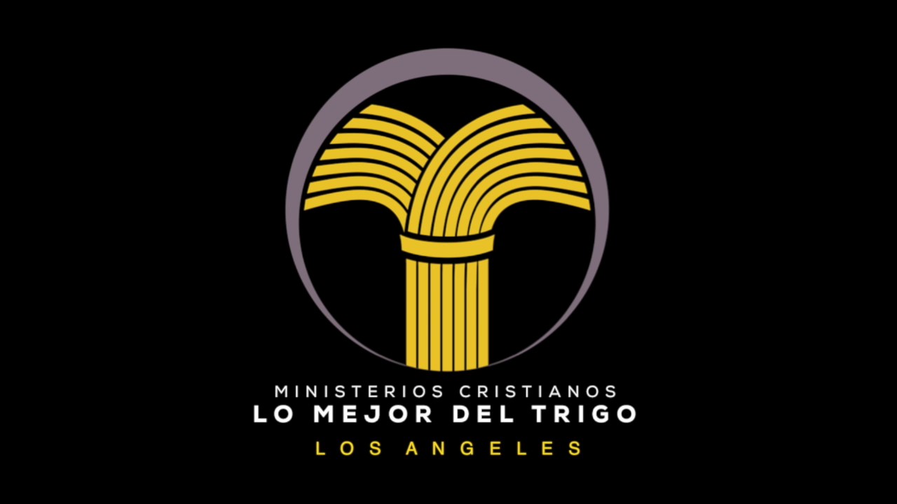 Lo Mejor Del Trigo • Los Angeles video editing software free