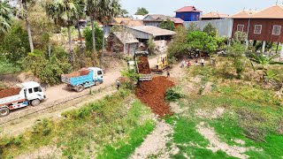 Wonderful Starting New Project!Mighty Dozer Komatsu Pushing Land higth 25m Delete Pond.Compelet 100%