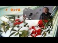 高谷 茂 散らず花(西方裕之)