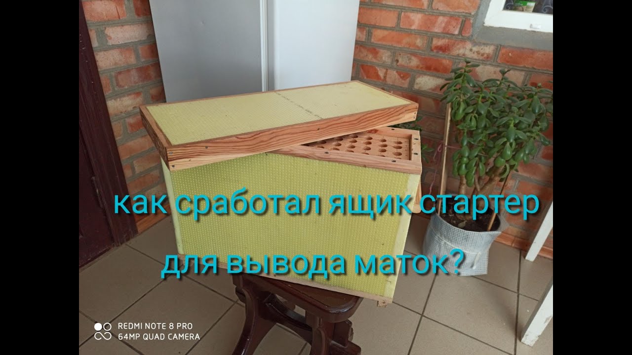 Стартер для вывода маток купить Стартер для вывода маток купить