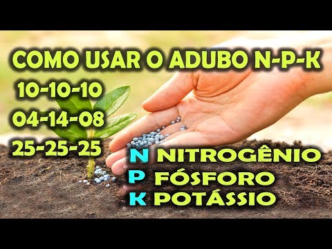 Vídeo: Maneiras fáceis de usar minerais nus: 15 etapas (com fotos)