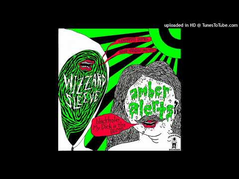 Wizzard Sleeve — 2008 ALABAMA POST PUNK Wizzard Sleeve "Nina Haagan Das" VOMIT SPOTS garage GARY WRONG NOLA kbd
