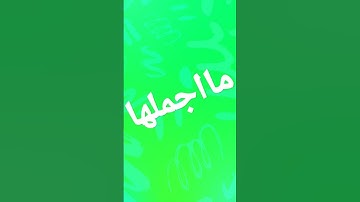 سورة الانسان #comedy #لايك #اكسبلور #المصحف #duet #القارئ