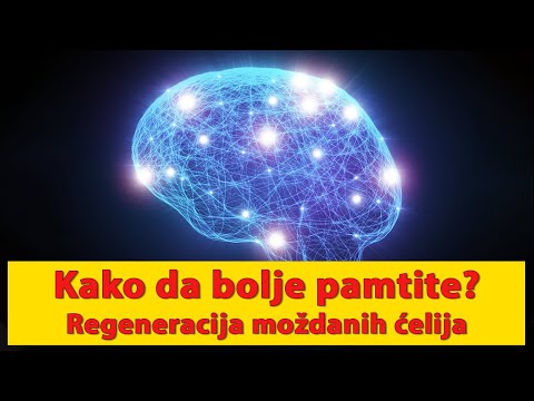 Kako da bolje pamtite? Regeneracija moždanih ćelija - Tema 203