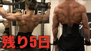 ボディビル5日前！！最後の背中トレーニングで全てを出し切る・・