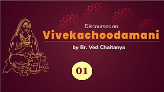 Introduction to Vivekachoodamani by Br. Ved Chaitanya | Discourse 01 screenshot 2
