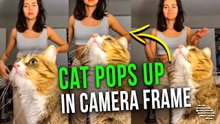 Girl Says “Don’t Look Up Here” Then Cat Pops up in Camera Frame and Looks Up