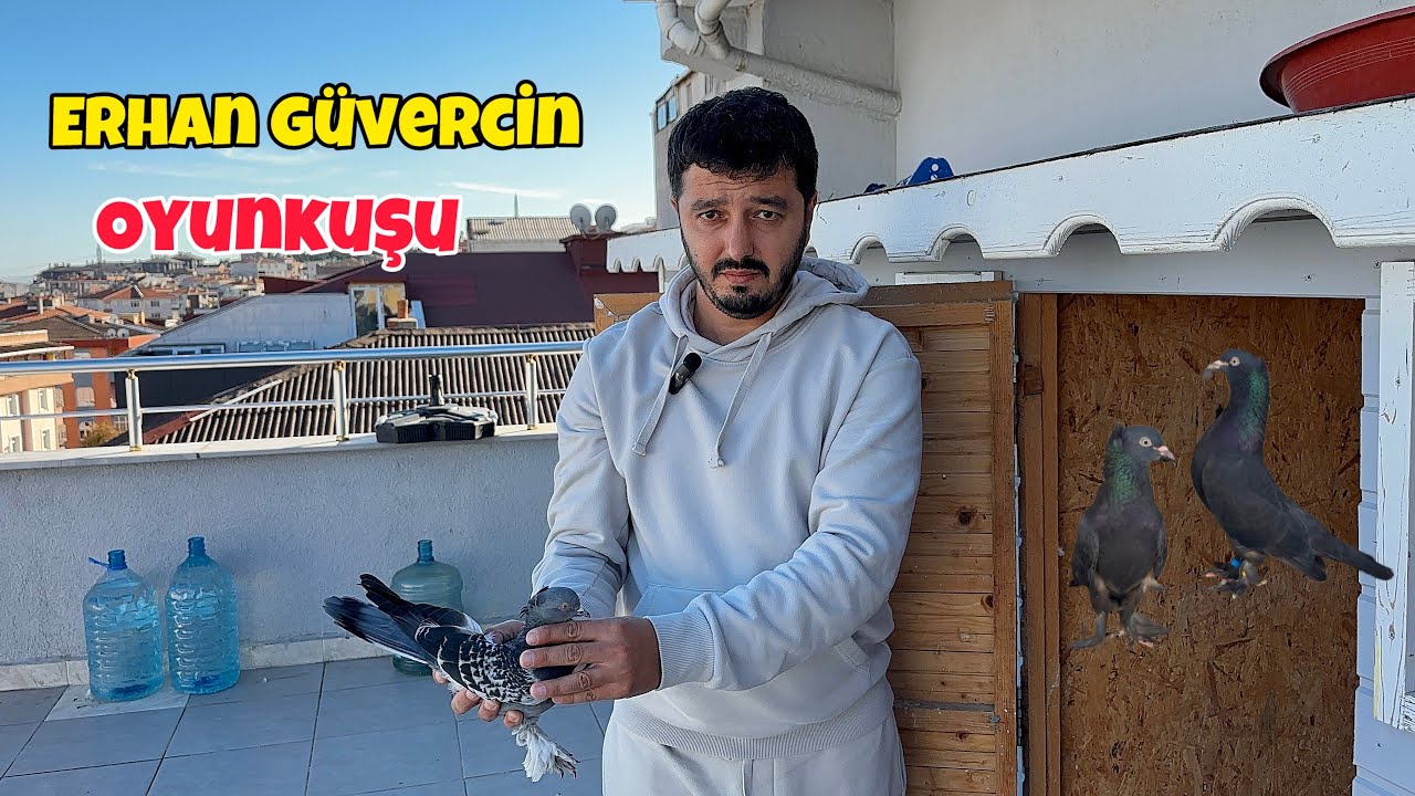 Harika Kuşlar Çok Güzel Kümesler 🕊️ Erhan Güvercin Kümes Ziyareti 💯
