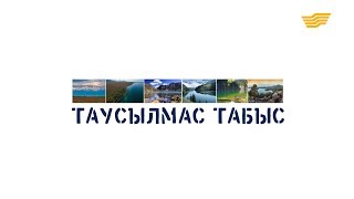 «Арнайы хабар». Таусылмас табыс