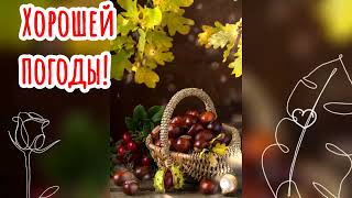 😀🍃Доброе утро! 🍁Хорошей погоды🌻Радостного денёчка!