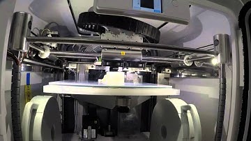 CubePro Time Lapse - Dog