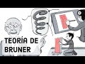 Los 3 pasos de aprendizaje en el currículum en espiral de Bruner