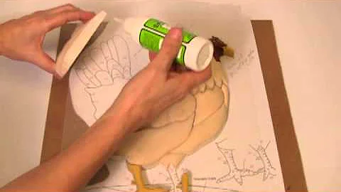 Kathy Wise Intarsia woodworking with Satellite Cit...