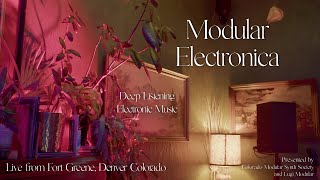 Modular Electronica Live at Fort Greene | Chris Meyer (Alias Zone) + Local Acts