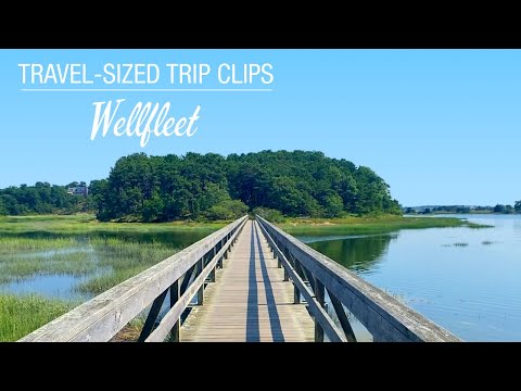 Wellfleet Trip Clip