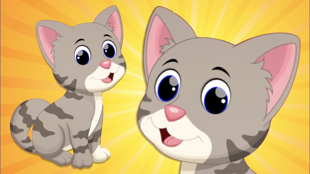 Kedi Kedicik Cocuk Sarkisi Youtube Kedi Ci K Kedi Bebek Hatira