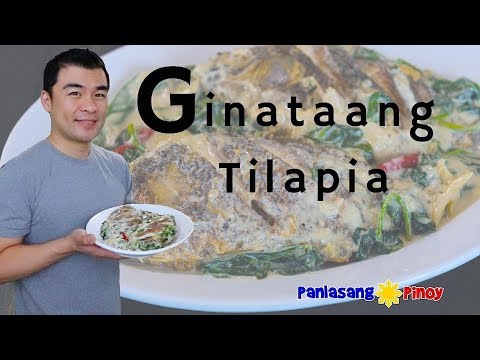 Video: Pagluluto Ng Nilaga Na Calamari Na May Tuna Sa Gatas Ng Niyog