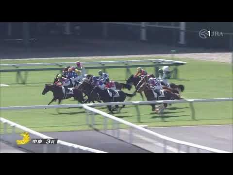 21 10 02 リメイク 新馬戦 Youtube