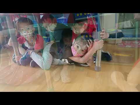 臺中市南區新衛斯理幼兒園《921防震演習》