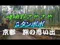 ♫嵯峨野さやさや タンポポが歌う(フォークデュオ）京都の秋 嵯峨野 落柿舎 祇王寺の庭他
