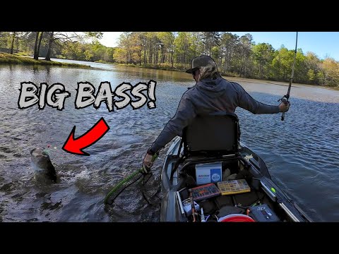 Catching GIANT Bass in The Bonafide XTR130