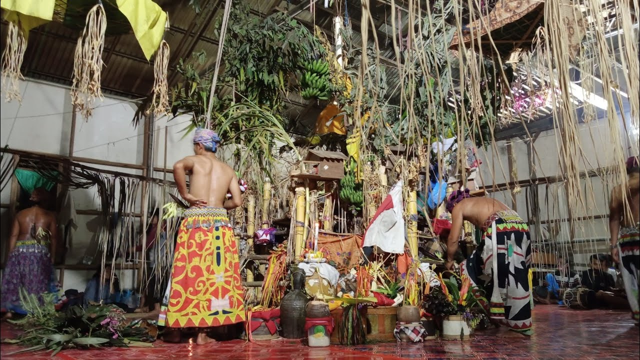 Beliant Sentiu Mlm Ke 7