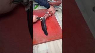 Yayın Balığını Anında Temizledi Gıda Amaçlı Balık Hazırlama Sürecinden Bir Kesittir.