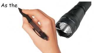 Stun Flashlight