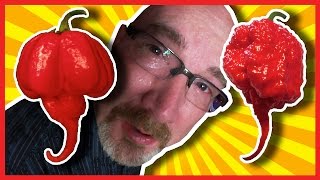 Carolina reaper & trinidad moruga scorpion pepper challenge to
celebrate my channels 200,000th subscriber. let the pain begin! want
more? check out challe...