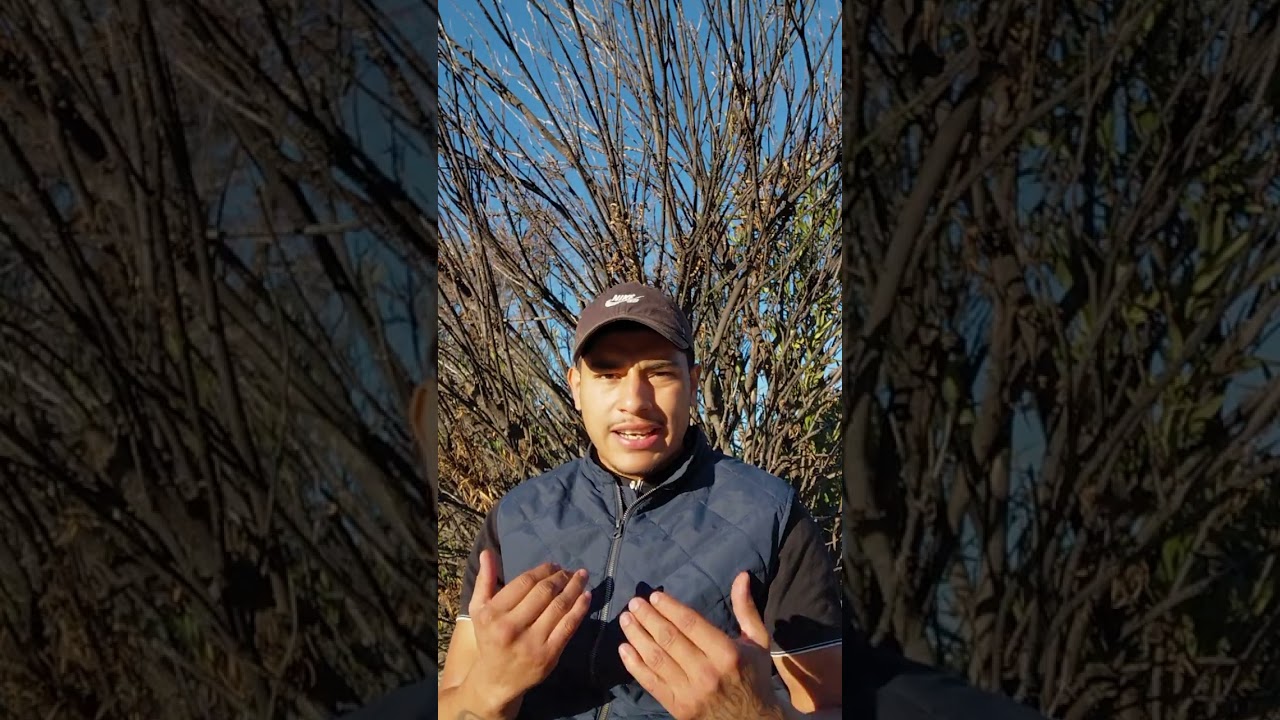 Hesitation Causes The Man To Lose Out With Women - She Seeks For The Bold Man